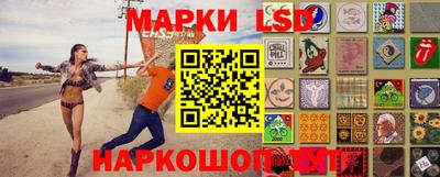 стафф Донской