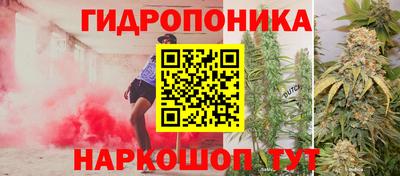 стафф Донской