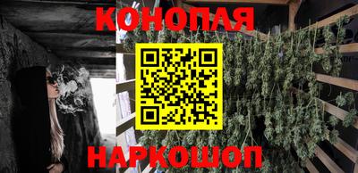 скорость Дубна