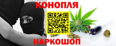 стафф Донской