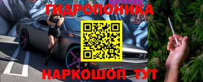 стафф Донской