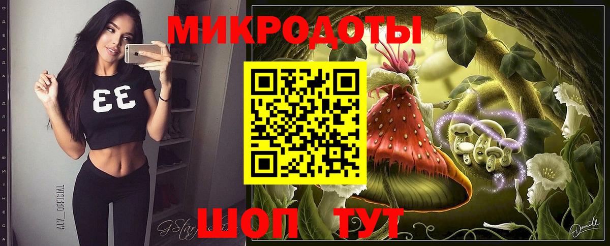 Большой Камень  Галлюциногенные грибы Psilocybine cubensis  Вход с VPN 