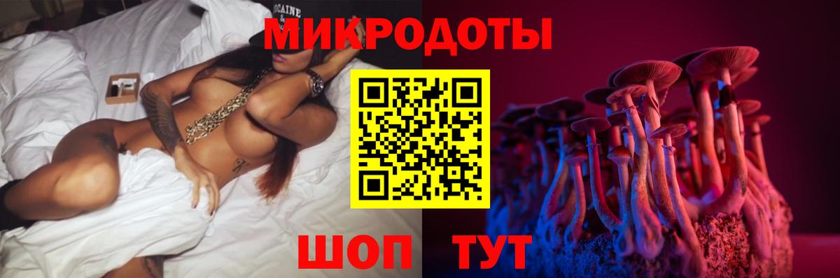 Псилоцибиновые грибы GOLDEN TEACHER Большой Камень